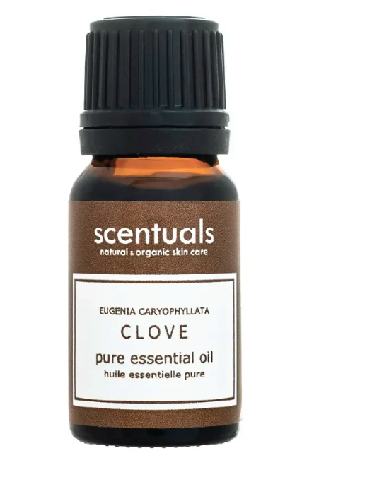 Clove Essential Oil - 10ml (Scentuals)