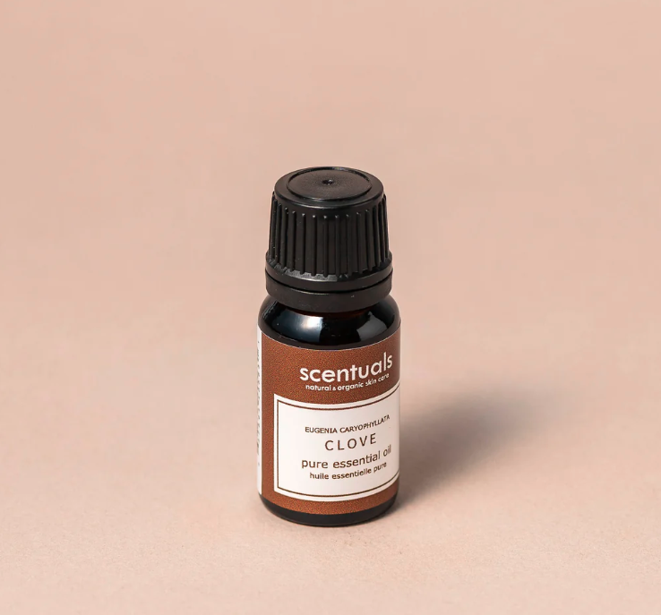 Clove Essential Oil - 10ml (Scentuals)