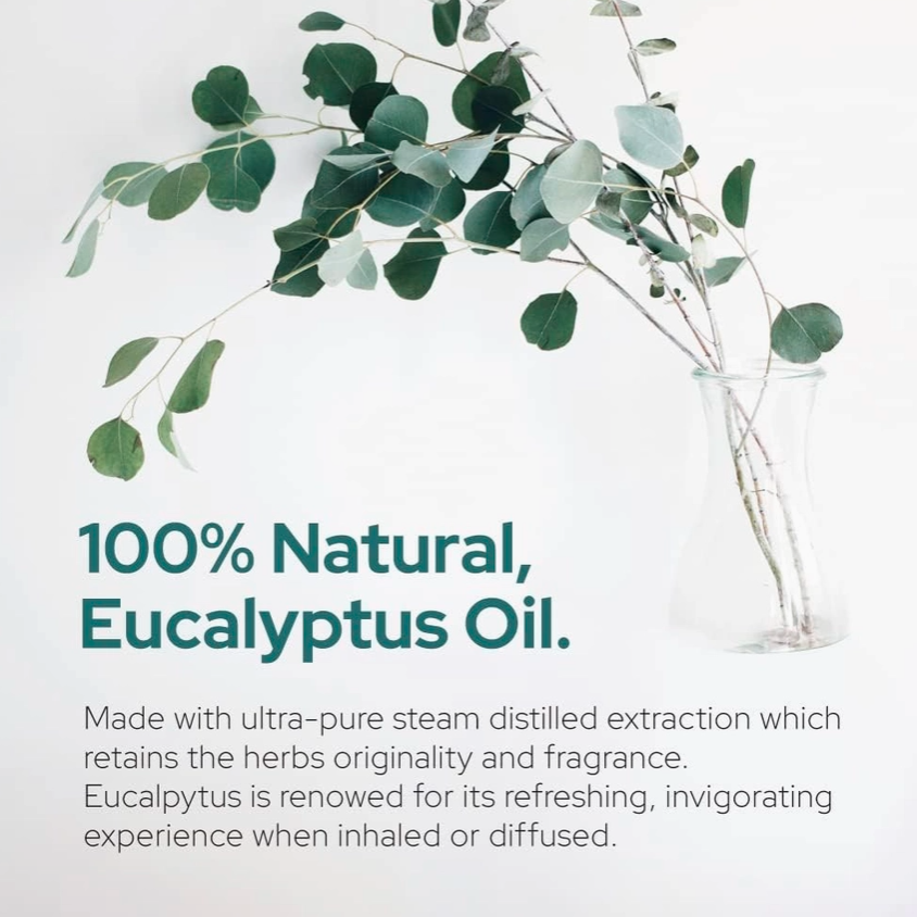 Eucalyptus Essential Oil | Therapeutic Grade - 4oz (120ml)