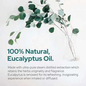 Eucalyptus Essential Oil | Therapeutic Grade - 4oz (120ml)