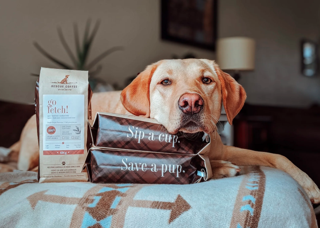 Go Fetch! | Medium-Dark Roast | 1lb Bag | Organic Coffee (Rescue Coffee Co.)