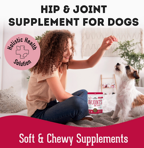 Soft & Chewy Supplement Hip & Joint Supplement For Dogs - 150g