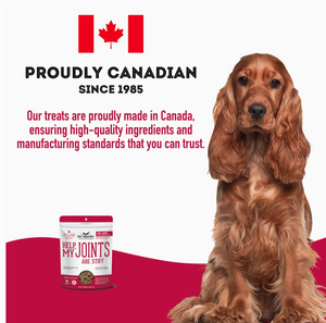 Soft & Chewy Supplement Hip & Joint Supplement For Dogs - 150g