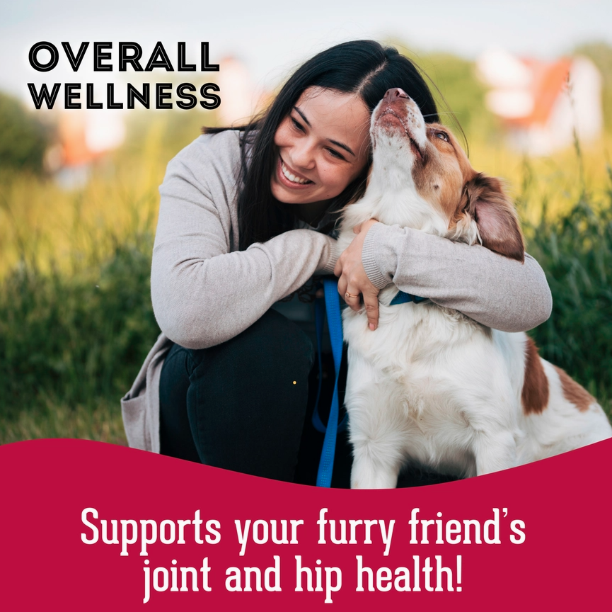 Soft & Chewy Supplement Hip & Joint Supplement For Dogs - 150g