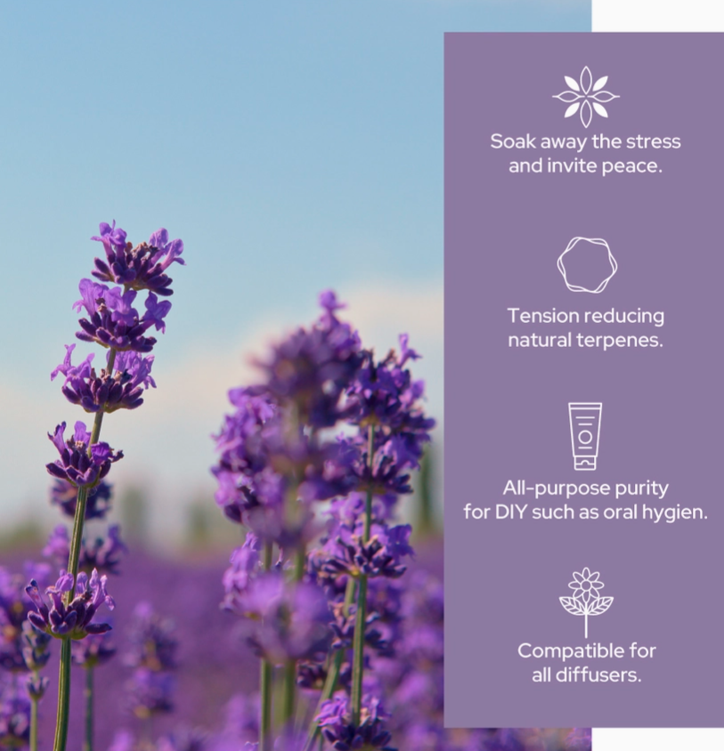 Lavender Essential Oil | Therapeutic Grade - 4oz (120ml)
