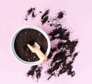 Medium Roast Organic Coffee: Ground  340g (Cafezia)