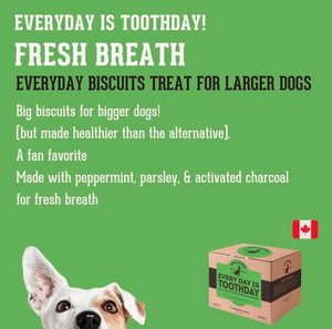Mint & Parsley Large Dog Biscuit Treats: Fresh Breath - 2lb