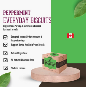 Mint & Parsley Large Dog Biscuit Treats: Fresh Breath - 2lb