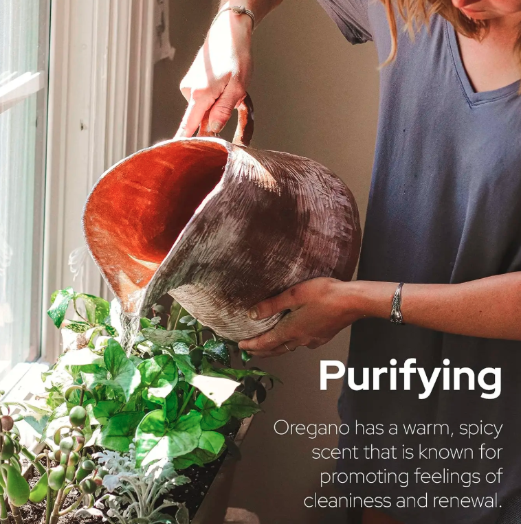 Organic Oregano Oil - 30ml (Plant of Life)