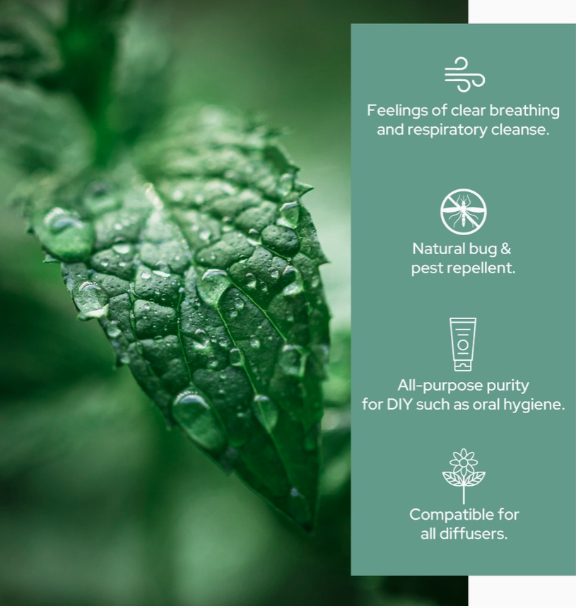 Pure Peppermint Essential Oil - Therapeutic Grade - 4oz (120ml)