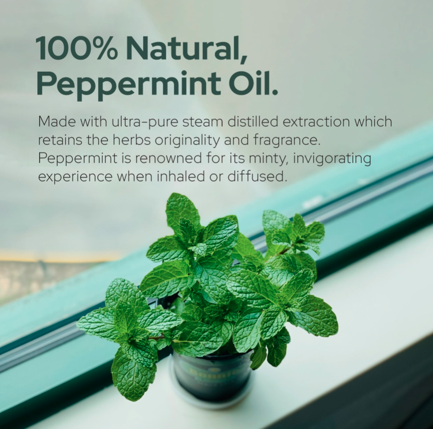 Pure Peppermint Essential Oil - Therapeutic Grade - 4oz (120ml)