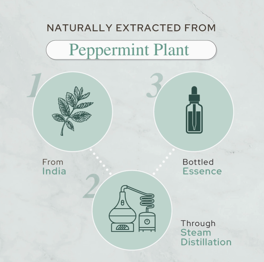 Pure Peppermint Essential Oil - Therapeutic Grade - 4oz (120ml)