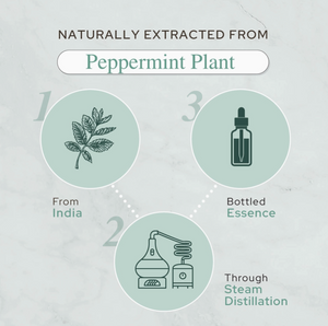 Pure Peppermint Essential Oil - Therapeutic Grade - 4oz (120ml)