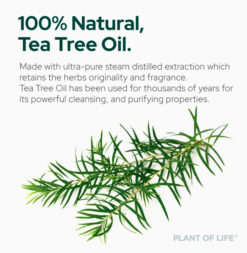 Tea Tree Oil For Aromatherapy, Skincare and Haircare - 4oz (120ml)