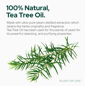 Tea Tree Oil For Aromatherapy, Skincare and Haircare - 4oz (120ml)