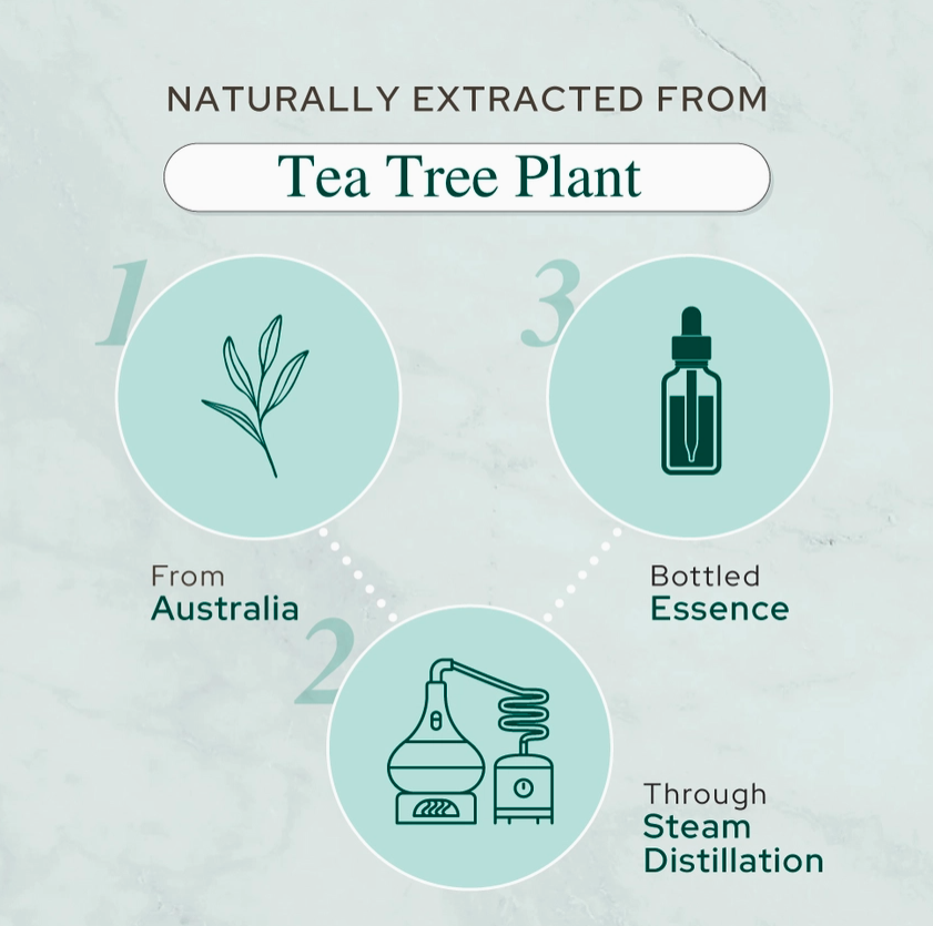 Tea Tree Oil For Aromatherapy, Skincare and Haircare - 4oz (120ml)