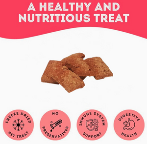 Wild Salmon Regular Dog Biscuit Treats: Teeth-Cleaning - 2lb