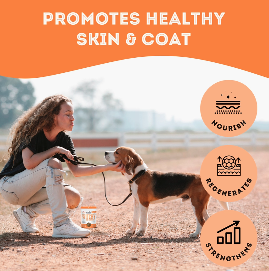 Soft & Chewy Supplement- Skin & Coat For Dogs - 150g